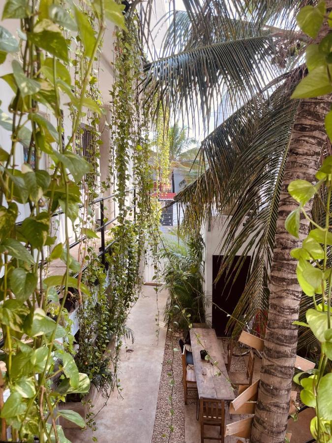 Anana Coliving Hotel Playa del Carmen Bagian luar foto
