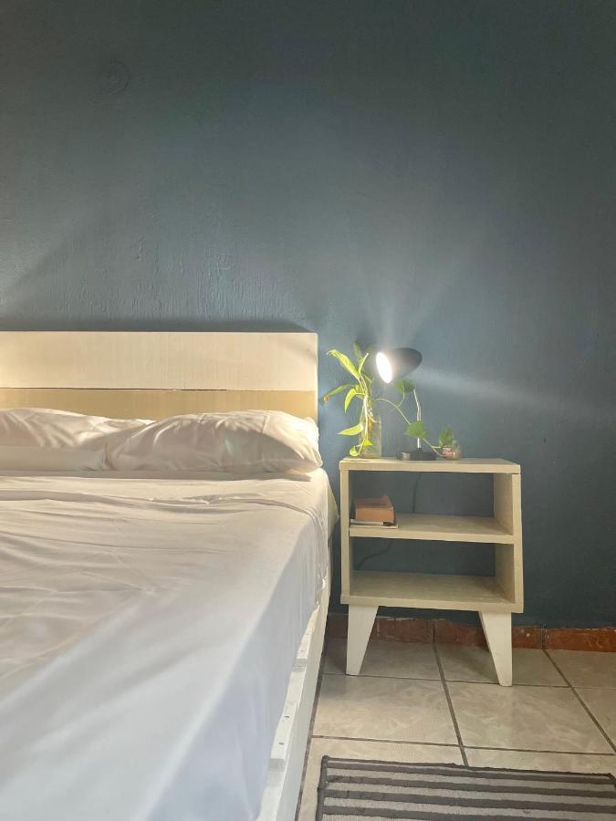 Anana Coliving Hotel Playa del Carmen Bagian luar foto