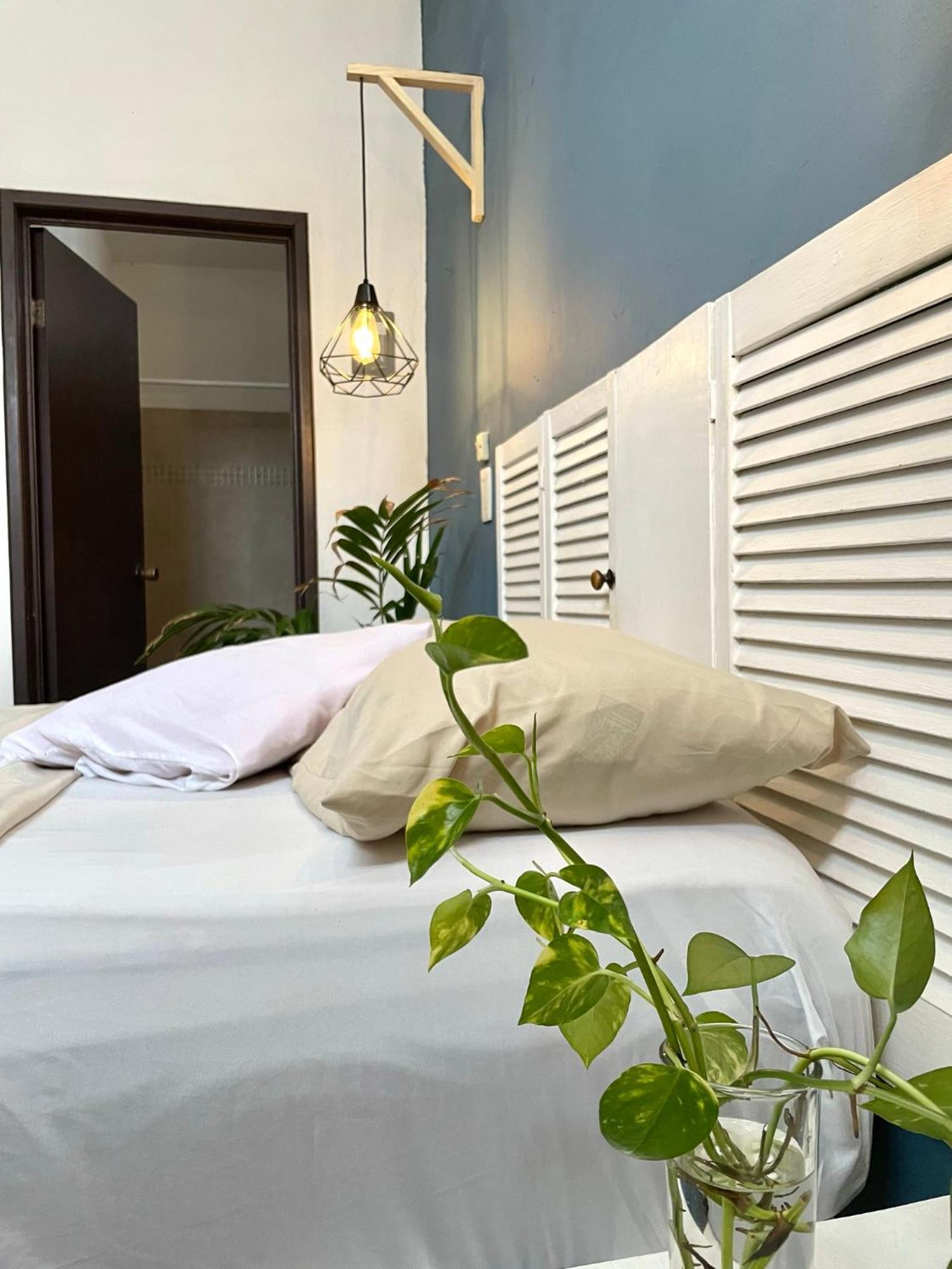 Anana Coliving Hotel Playa del Carmen Bagian luar foto